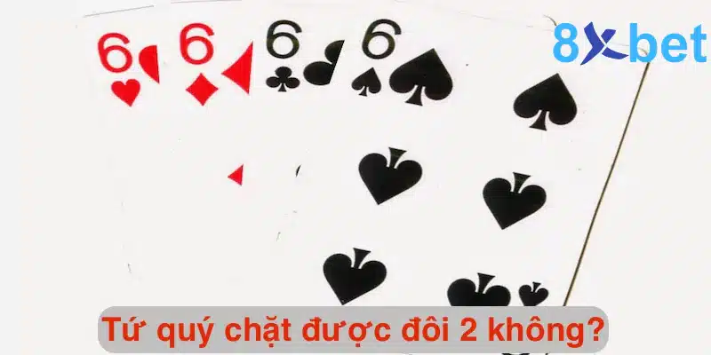 Tứ quý chặt được đôi 2 không? Tứ quý có thể chặt được gì? 1 Giải đáp chi tiết thắc mắc tứ quý chặt được đôi 2 không?