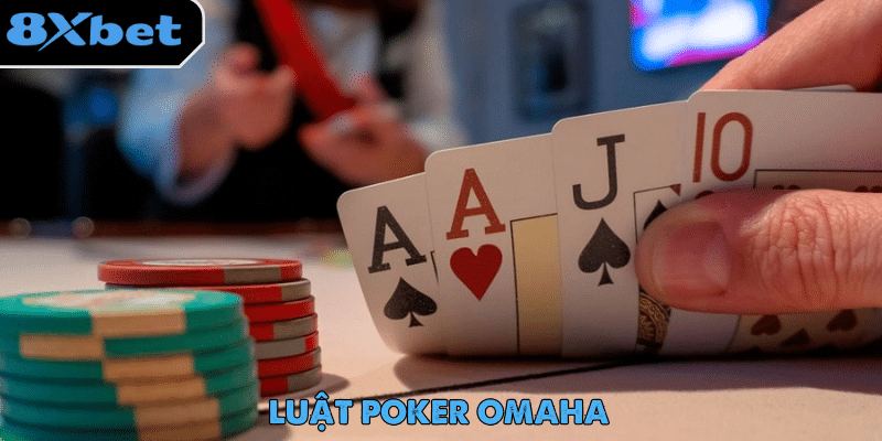 Luật Poker – Hành Trình Trở Thành Cao Thủ Game Bài 3 Luật Poker Omaha có cấu trúc chơi tương tự Texas Hold’em